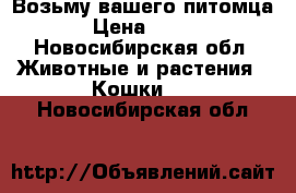 Возьму вашего питомца › Цена ­ 300 - Новосибирская обл. Животные и растения » Кошки   . Новосибирская обл.